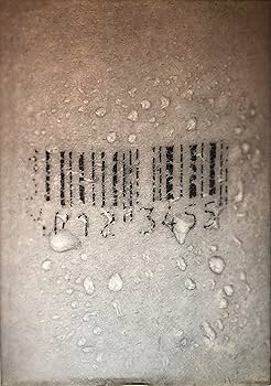 Amazon.co.jp: 安室奈美恵写真集: #19770920 : ZIGEN: 本